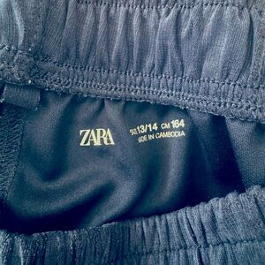 Zara Navy pant